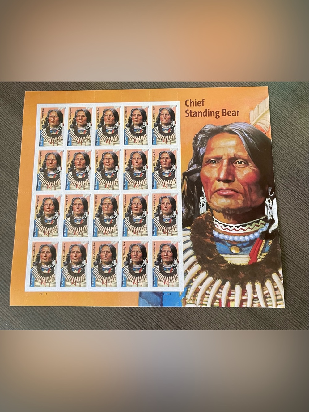 2023 Chief Standing Bear Commemorative Stamp Sheet - 20 Forever Stamps